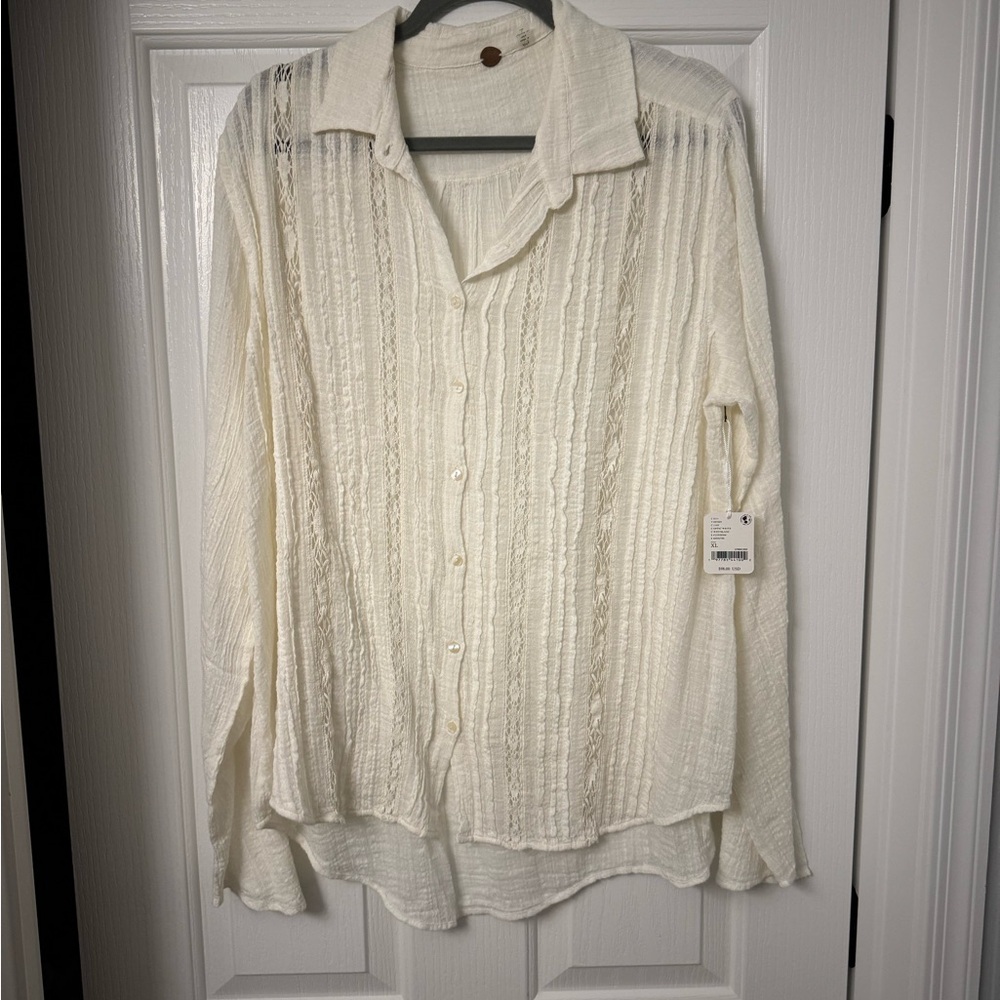 Free People Cream Sheer / Lacy Button-Up Blouse
